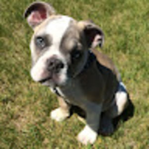 Meet your Posher, Kari